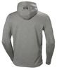 HELLY HANSEN CHELSEA EVO SWEATSHIRT 79197-930 - M